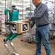 Image for article titled This Fleet of Robot Workers Can Lift Heavy Boxes but Still Can’t Write a Blog